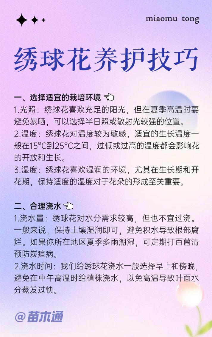 鲜花花束绣球花语和寓意(鲜花绣球的养护方法)-第6张图片-花花知道网 鲜花花束绣球花语和寓意(鲜花绣球的养护方法)-第6张图片-花花知道网