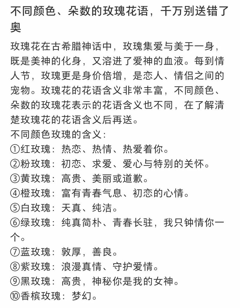 鲜花花语和意义(50种鲜花花语大全)-第5张图片-花花知道网 鲜花花语和意义(50种鲜花花语大全)-第5张图片-花花知道网