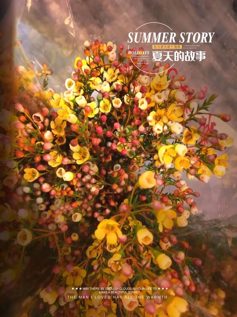 澳洲腊梅鲜花花语(澳洲腊梅花的寓意和象征)-第2张图片-花花知道网 澳洲腊梅鲜花花语(澳洲腊梅花的寓意和象征)-第2张图片-花花知道网