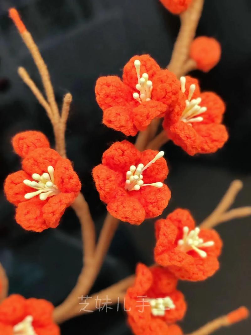 澳洲腊梅鲜花花语(澳洲腊梅花的寓意和象征)-第8张图片-花花知道网 澳洲腊梅鲜花花语(澳洲腊梅花的寓意和象征)-第8张图片-花花知道网