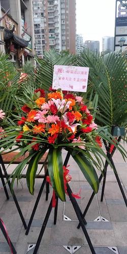 送花的讲究时间吗(送花 讲究)-第4张图片-花花知道网 送花的讲究时间吗(送花 讲究)-第4张图片-花花知道网