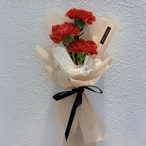 3朵鲜花康乃馨花束寓意(三朵康乃馨一朵玫瑰代表什么意思)-第2张图片-花花知道网 3朵鲜花康乃馨花束寓意(三朵康乃馨一朵玫瑰代表什么意思)-第2张图片-花花知道网