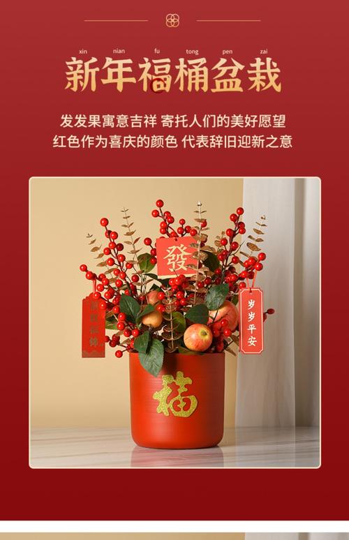 春节走亲访友的送花讲究(走亲访友送礼首选)-第5张图片-花花知道网 春节走亲访友的送花讲究(走亲访友送礼首选)-第5张图片-花花知道网