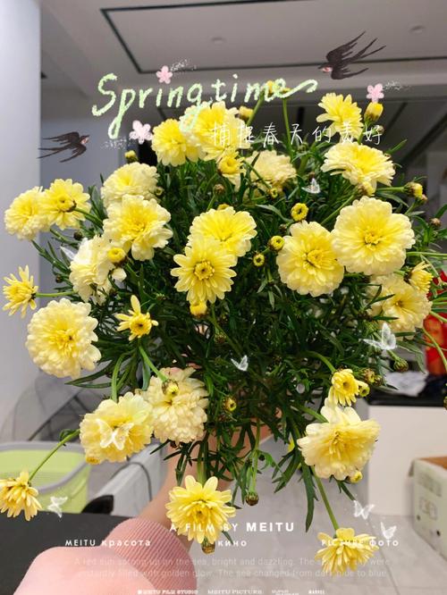 糖果鲜花花语(糖果花束花语)-第3张图片-花花知道网 糖果鲜花花语(糖果花束花语)-第3张图片-花花知道网