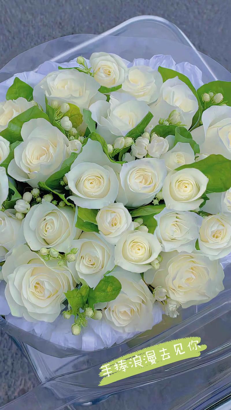 11朵白玫瑰鲜花寓意(11朵白玫瑰鲜花寓意什么)-第4张图片-花花知道网 11朵白玫瑰鲜花寓意(11朵白玫瑰鲜花寓意什么)-第4张图片-花花知道网