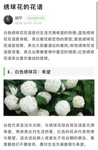 圆形礼盒鲜花花语大全集(圆形礼盒包装展开图)-第5张图片-花花知道网 圆形礼盒鲜花花语大全集(圆形礼盒包装展开图)-第5张图片-花花知道网