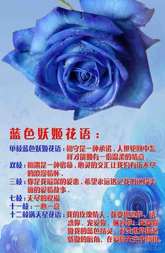 35朵鲜花代表什么寓意(鲜花33朵代表什么)-第5张图片-花花知道网 35朵鲜花代表什么寓意(鲜花33朵代表什么)-第5张图片-花花知道网