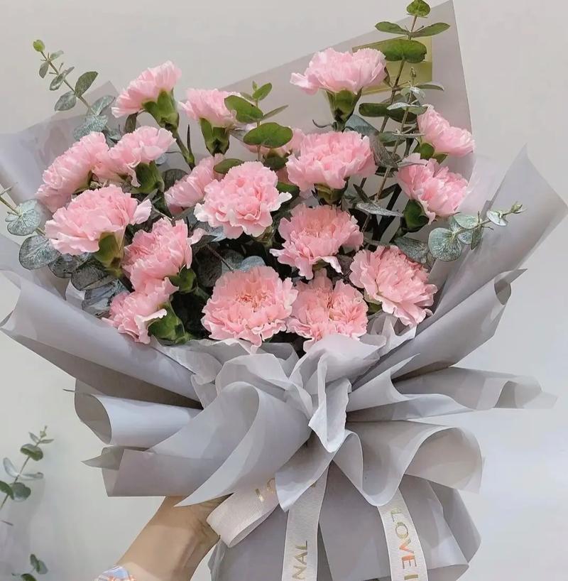 康乃馨送花的讲究(康乃馨 送人)-第2张图片-花花知道网 康乃馨送花的讲究(康乃馨 送人)-第2张图片-花花知道网