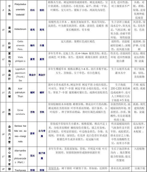 班级鲜花花语(班级花语四字标语)-第1张图片-花花知道网 班级鲜花花语(班级花语四字标语)-第1张图片-花花知道网
