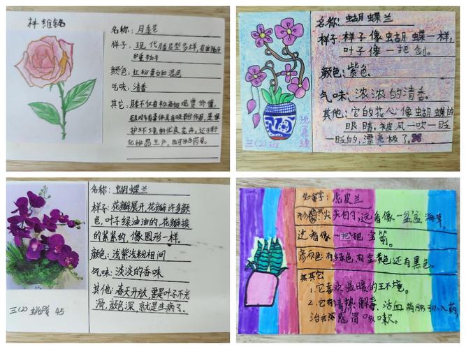 班级鲜花花语(班级花语四字标语)-第2张图片-花花知道网 班级鲜花花语(班级花语四字标语)-第2张图片-花花知道网