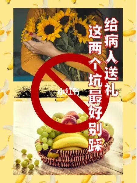 看病人送花束的讲究(看病人送花束的讲究)-第4张图片-花花知道网 看病人送花束的讲究(看病人送花束的讲究)-第4张图片-花花知道网