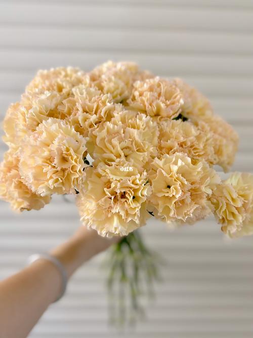 鲜花花束加王冠的寓意和花语(鲜花加皇冠蛋糕图片)-第5张图片-花花知道网 鲜花花束加王冠的寓意和花语(鲜花加皇冠蛋糕图片)-第5张图片-花花知道网