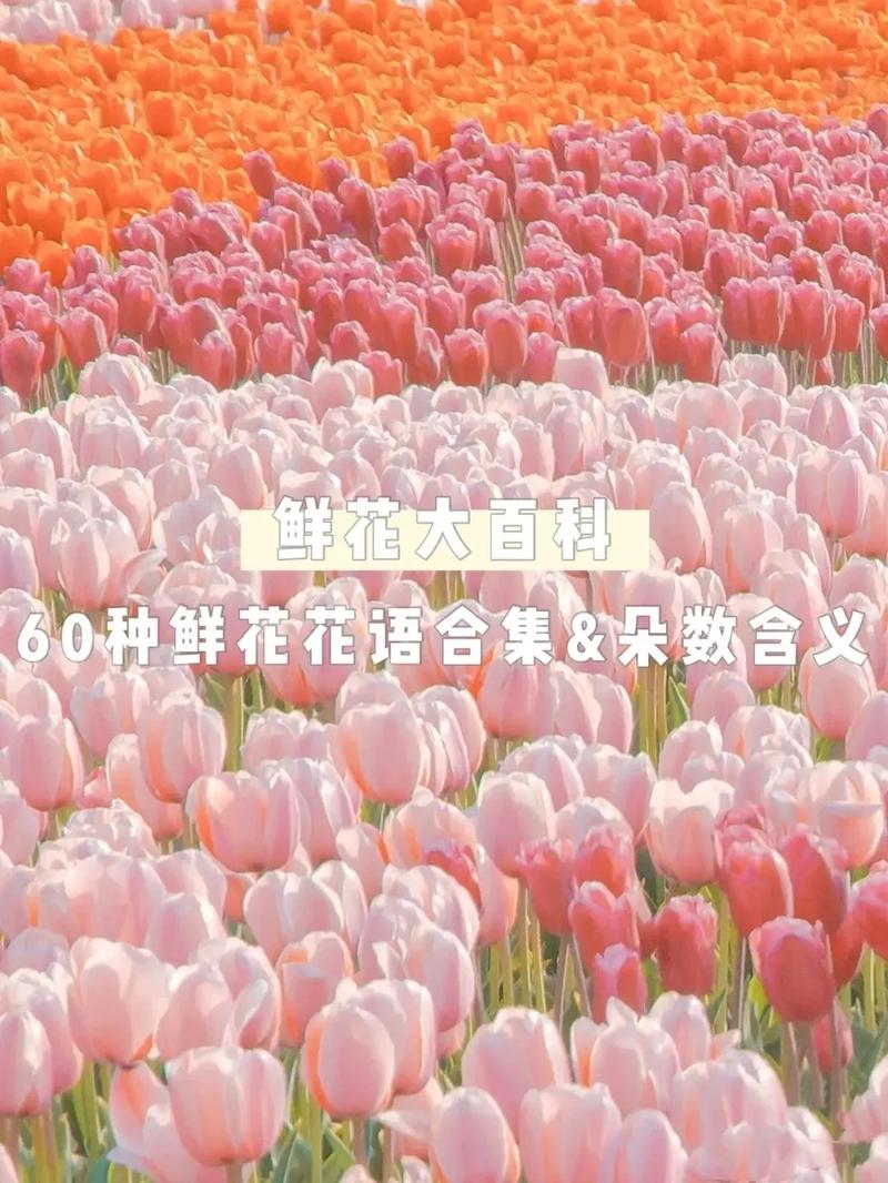 108朵鲜花的寓意(108朵玫瑰花的意思)-第1张图片-花花知道网 108朵鲜花的寓意(108朵玫瑰花的意思)-第1张图片-花花知道网