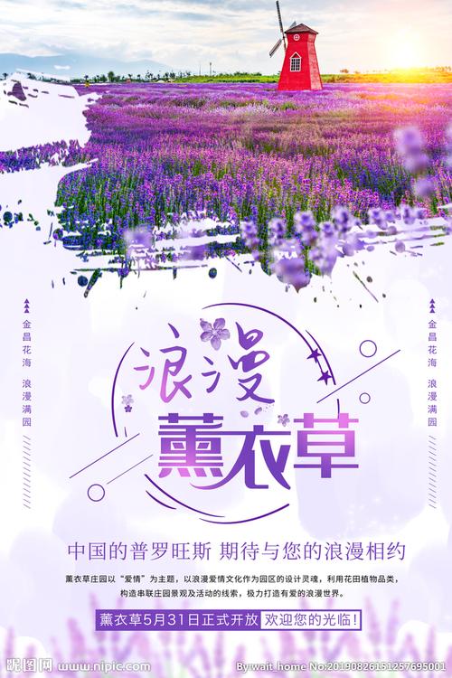 薰衣草鲜花花语寓意和象征(薰衣草的花语和寓意是什么)-第3张图片-花花知道网 薰衣草鲜花花语寓意和象征(薰衣草的花语和寓意是什么)-第3张图片-花花知道网