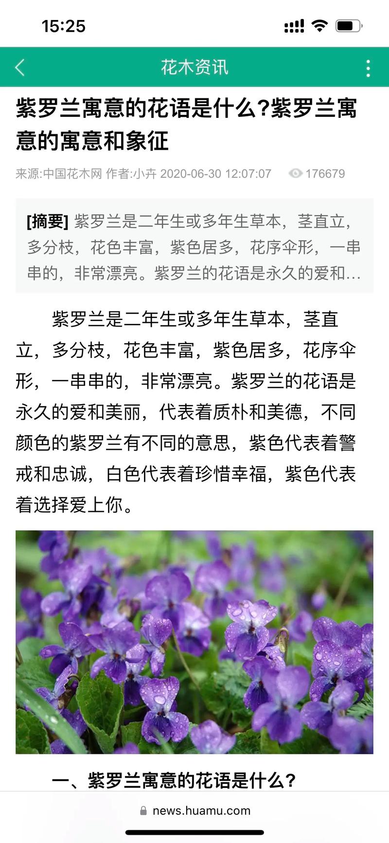 紫罗兰鲜花花语和香味(紫罗兰鲜花介绍)-第4张图片-花花知道网 紫罗兰鲜花花语和香味(紫罗兰鲜花介绍)-第4张图片-花花知道网