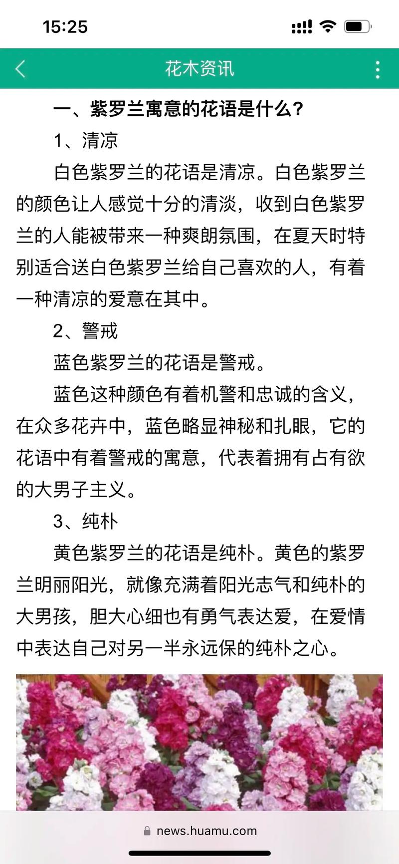 紫罗兰鲜花花语和香味(紫罗兰鲜花介绍)-第6张图片-花花知道网 紫罗兰鲜花花语和香味(紫罗兰鲜花介绍)-第6张图片-花花知道网