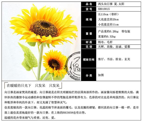 12朵向日葵鲜花的寓意(12朵向日葵多少钱)-第5张图片-花花知道网 12朵向日葵鲜花的寓意(12朵向日葵多少钱)-第5张图片-花花知道网