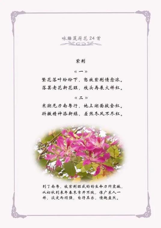 800朵鲜花寓意(800鲜花啥意思啊)-第1张图片-花花知道网 800朵鲜花寓意(800鲜花啥意思啊)-第1张图片-花花知道网