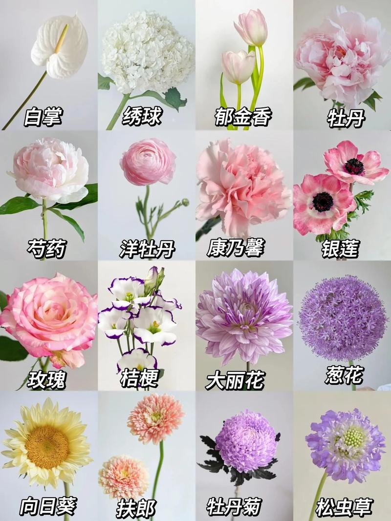 圆形礼盒鲜花花语(圆形的礼盒)-第1张图片-花花知道网 圆形礼盒鲜花花语(圆形的礼盒)-第1张图片-花花知道网