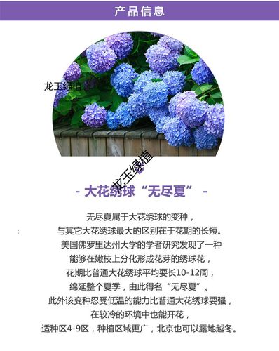 圆形礼盒鲜花花语(圆形的礼盒)-第6张图片-花花知道网 圆形礼盒鲜花花语(圆形的礼盒)-第6张图片-花花知道网