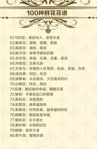 冬季鲜花花语(冬天最美的鲜花)-第1张图片-花花知道网 冬季鲜花花语(冬天最美的鲜花)-第1张图片-花花知道网