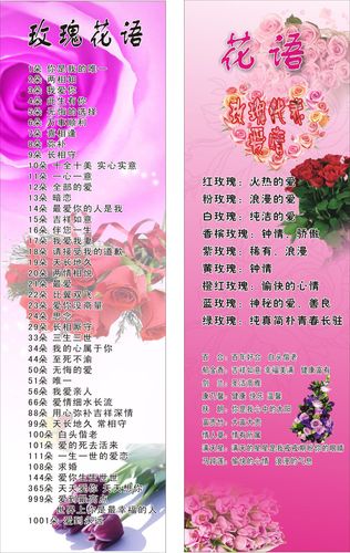 99朵紫玫瑰鲜花花束寓意(19朵紫玫瑰花语)-第5张图片-花花知道网 99朵紫玫瑰鲜花花束寓意(19朵紫玫瑰花语)-第5张图片-花花知道网