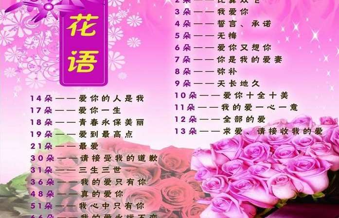 66朵白玫瑰鲜花寓意什么(白玫瑰66朵什么意思)-第5张图片-花花知道网 66朵白玫瑰鲜花寓意什么(白玫瑰66朵什么意思)-第5张图片-花花知道网