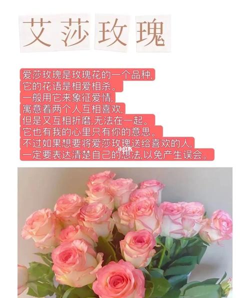 爱纱玫瑰鲜花花语(爱莎玫瑰花束)-第4张图片-花花知道网 爱纱玫瑰鲜花花语(爱莎玫瑰花束)-第4张图片-花花知道网