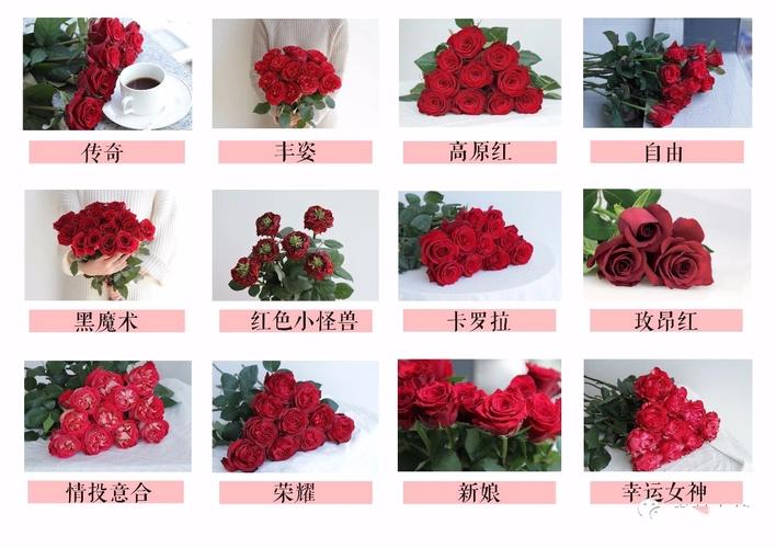 送花的支数的讲究(送花的枝数代表什么)-第2张图片-花花知道网 送花的支数的讲究(送花的枝数代表什么)-第2张图片-花花知道网