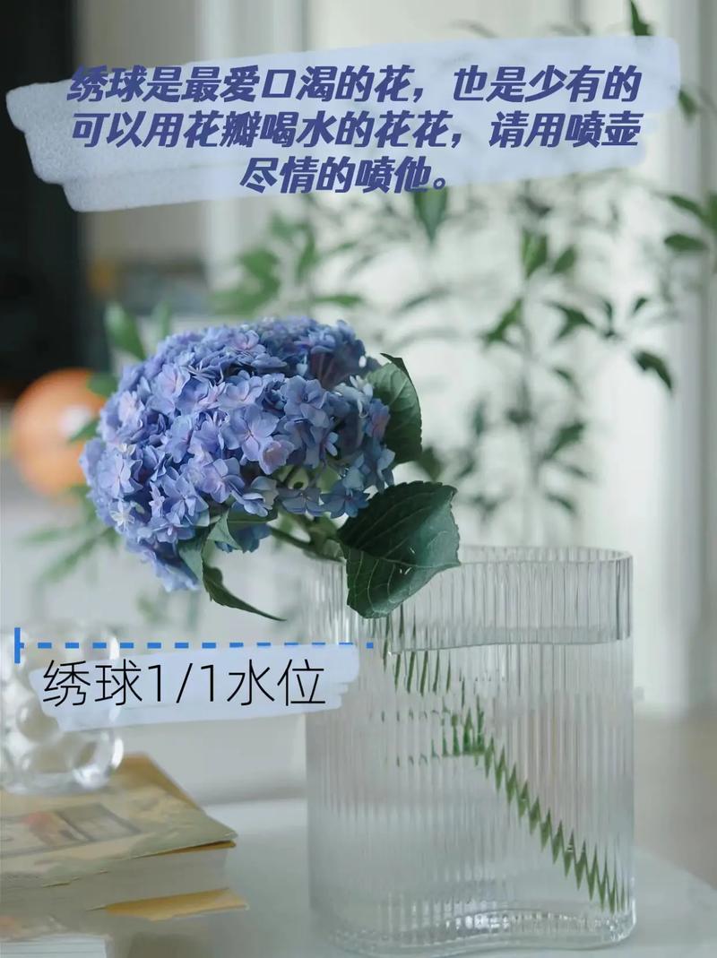 鲜花插花花篮花语和寓意(花篮插花技巧与搭配)-第6张图片-花花知道网 鲜花插花花篮花语和寓意(花篮插花技巧与搭配)-第6张图片-花花知道网