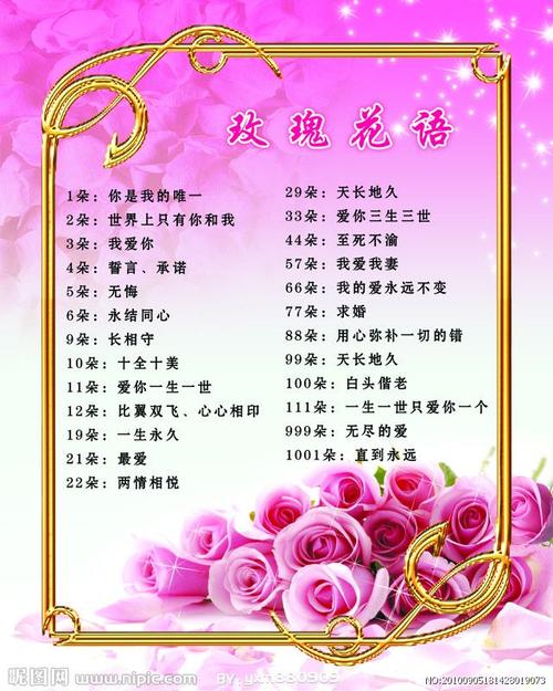 11枝鲜花有什么寓意(11枝鲜花有什么寓意吗)-第6张图片-花花知道网 11枝鲜花有什么寓意(11枝鲜花有什么寓意吗)-第6张图片-花花知道网