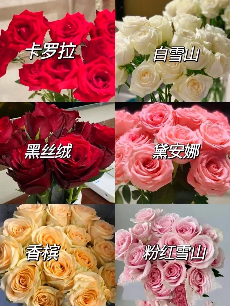 11枝鲜花有什么寓意(11枝鲜花有什么寓意吗)-第7张图片-花花知道网 11枝鲜花有什么寓意(11枝鲜花有什么寓意吗)-第7张图片-花花知道网