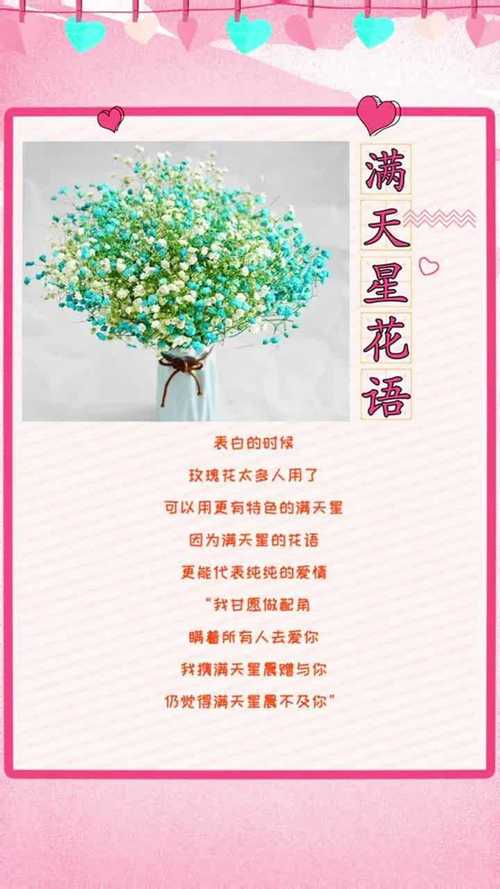 繁星花花语(繁星花象征什么)-第3张图片-花花知道网 繁星花花语(繁星花象征什么)-第3张图片-花花知道网
