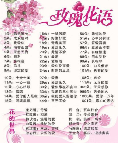 302朵鲜花啥寓意(30朵花花代表什么意思)-第3张图片-花花知道网 302朵鲜花啥寓意(30朵花花代表什么意思)-第3张图片-花花知道网