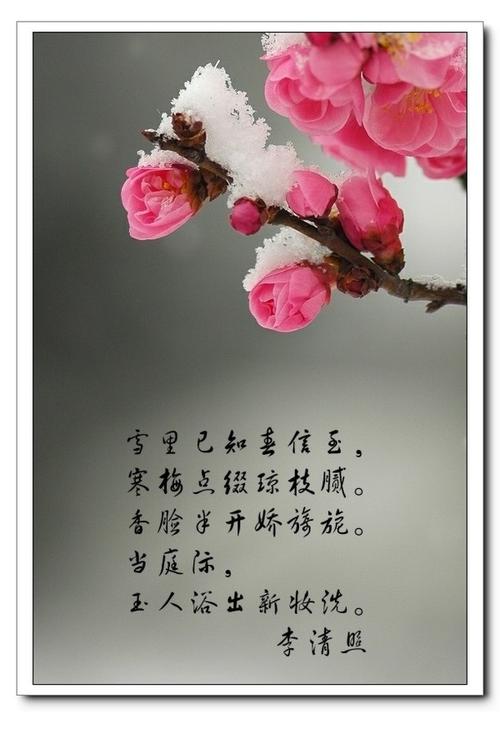 奥梅鲜花花语(奥梅花的含义)-第2张图片-花花知道网 奥梅鲜花花语(奥梅花的含义)-第2张图片-花花知道网