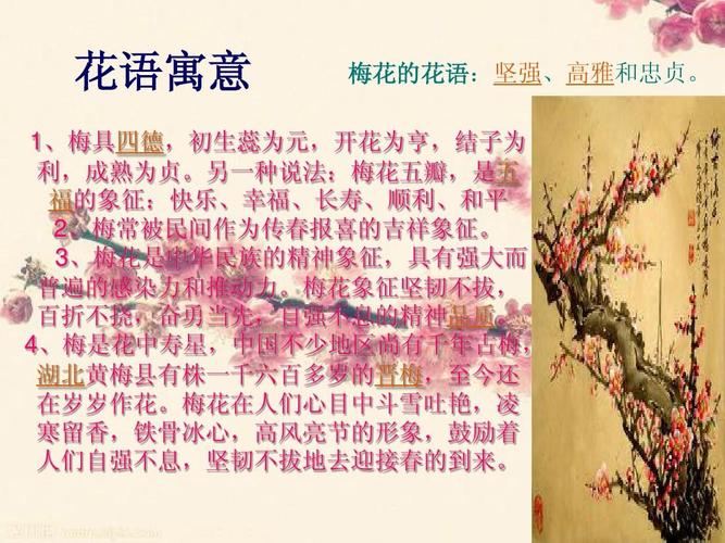奥梅鲜花花语(奥梅花的含义)-第3张图片-花花知道网 奥梅鲜花花语(奥梅花的含义)-第3张图片-花花知道网