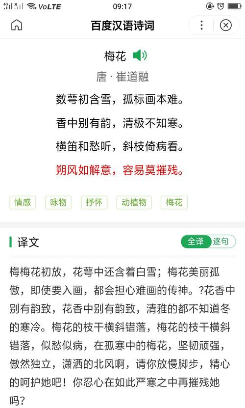 奥梅鲜花花语(奥梅花的含义)-第4张图片-花花知道网 奥梅鲜花花语(奥梅花的含义)-第4张图片-花花知道网
