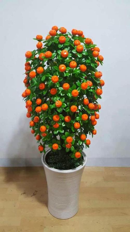 招财鲜花花语(花语 招财)-第4张图片-花花知道网 招财鲜花花语(花语 招财)-第4张图片-花花知道网