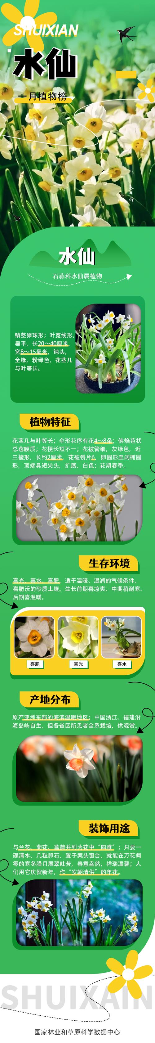 中国地质大学鲜花花语(中国地质大学校花是什么花)-第2张图片-花花知道网 中国地质大学鲜花花语(中国地质大学校花是什么花)-第2张图片-花花知道网