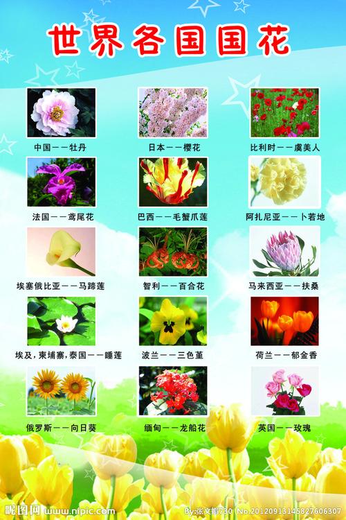 中国地质大学鲜花花语(中国地质大学校花是什么花)-第7张图片-花花知道网 中国地质大学鲜花花语(中国地质大学校花是什么花)-第7张图片-花花知道网