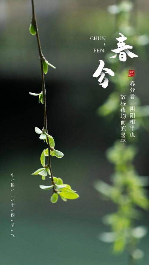 春分有送花的讲究吗为什么(春分要买花吗)-第3张图片-花花知道网 春分有送花的讲究吗为什么(春分要买花吗)-第3张图片-花花知道网