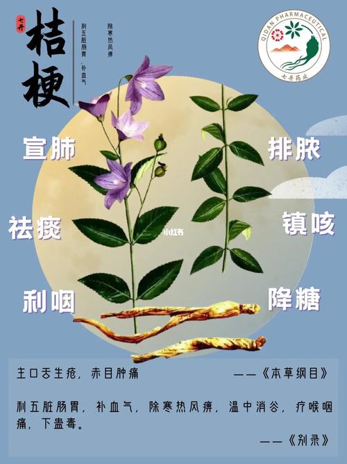 桔梗鲜花花语(桔梗鲜花花语是什么)-第3张图片-花花知道网 桔梗鲜花花语(桔梗鲜花花语是什么)-第3张图片-花花知道网