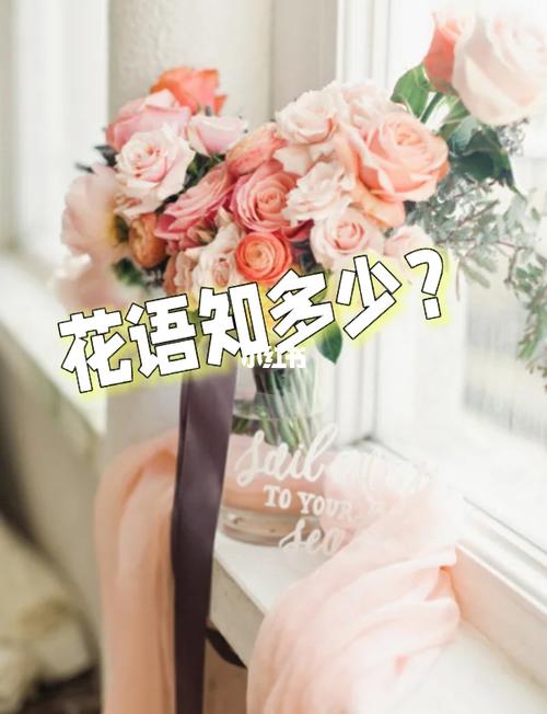 鲜花花语奉献(鲜花奉献给爱情)-第1张图片-花花知道网 鲜花花语奉献(鲜花奉献给爱情)-第1张图片-花花知道网