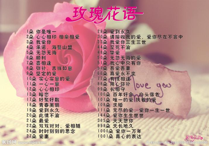 9朵鲜花花语大全及寓意(九朵鲜花)-第5张图片-花花知道网 9朵鲜花花语大全及寓意(九朵鲜花)-第5张图片-花花知道网