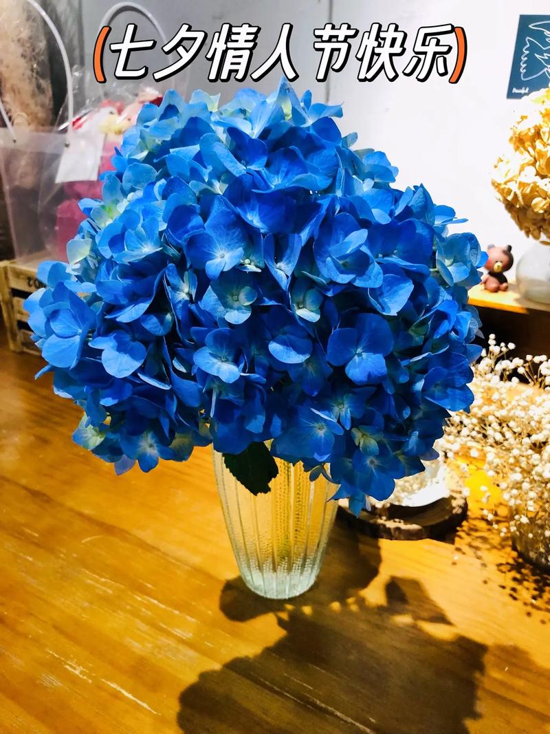11朵鲜花寓意着什么意思(11朵鲜花寓意着什么意思呢)-第5张图片-花花知道网 11朵鲜花寓意着什么意思(11朵鲜花寓意着什么意思呢)-第5张图片-花花知道网