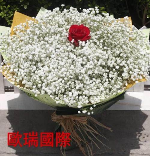 欧洲送花的讲究(欧洲送礼)-第2张图片-花花知道网 欧洲送花的讲究(欧洲送礼)-第2张图片-花花知道网