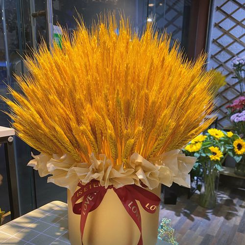开业送花束的讲究时间是什么(开业送花束图片)-第3张图片-花花知道网 开业送花束的讲究时间是什么(开业送花束图片)-第3张图片-花花知道网