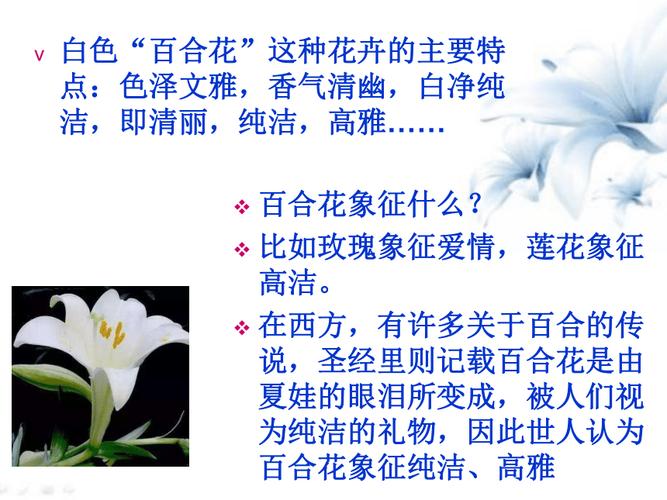 郁金香和百合鲜花花语(郁金香跟百合放在一起是什么意思)-第5张图片-花花知道网 郁金香和百合鲜花花语(郁金香跟百合放在一起是什么意思)-第5张图片-花花知道网