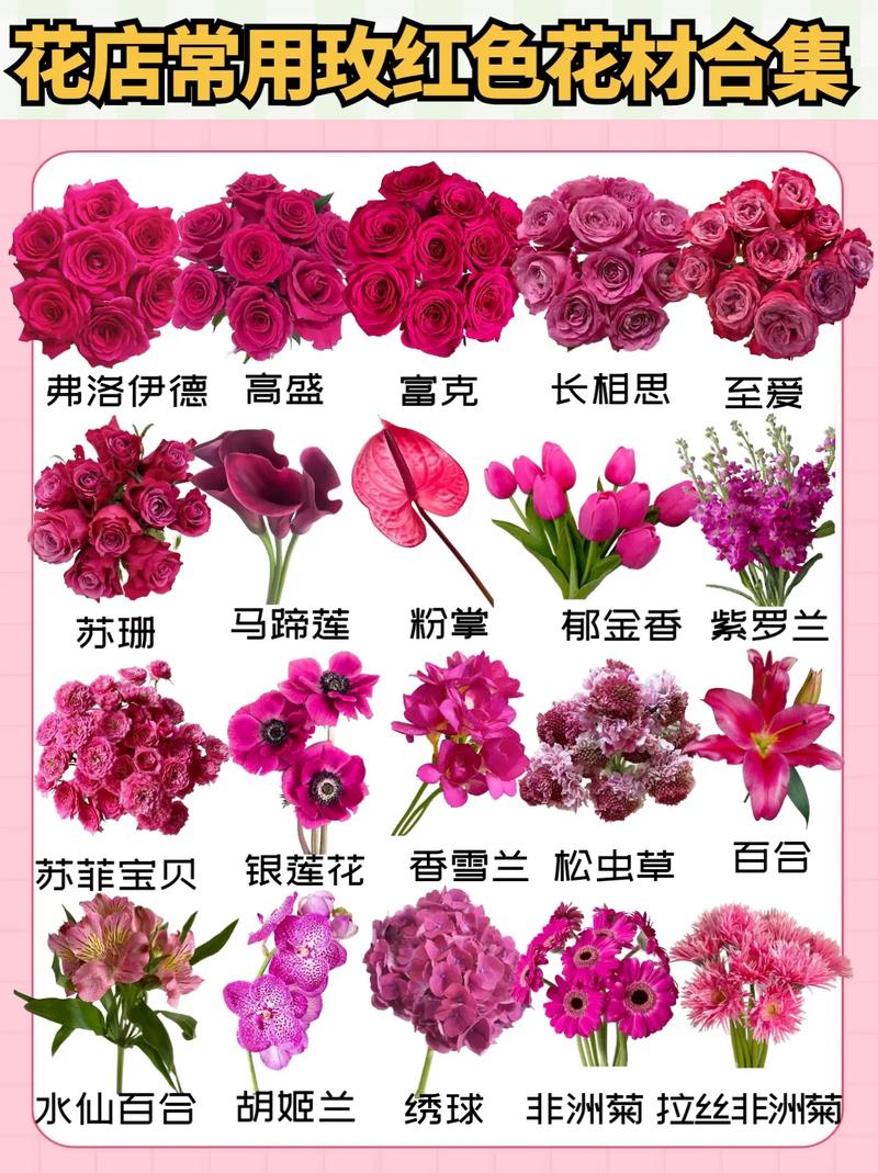 给女孩送花颜色的讲究(送女生花颜色)-第5张图片-花花知道网 给女孩送花颜色的讲究(送女生花颜色)-第5张图片-花花知道网