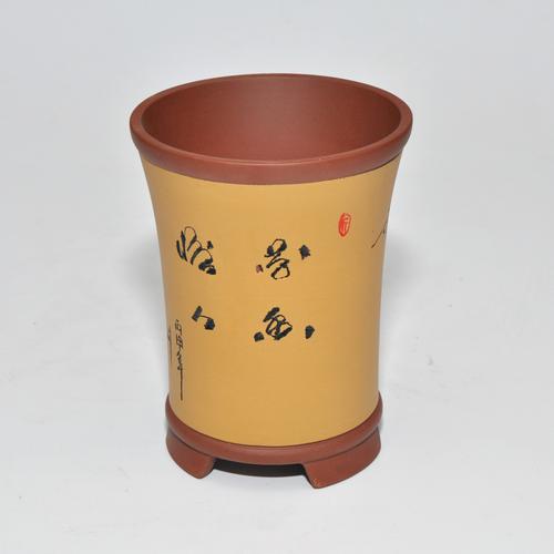 赠送花盆的风水讲究是什么(送盆花好吗)-第5张图片-花花知道网 赠送花盆的风水讲究是什么(送盆花好吗)-第5张图片-花花知道网
